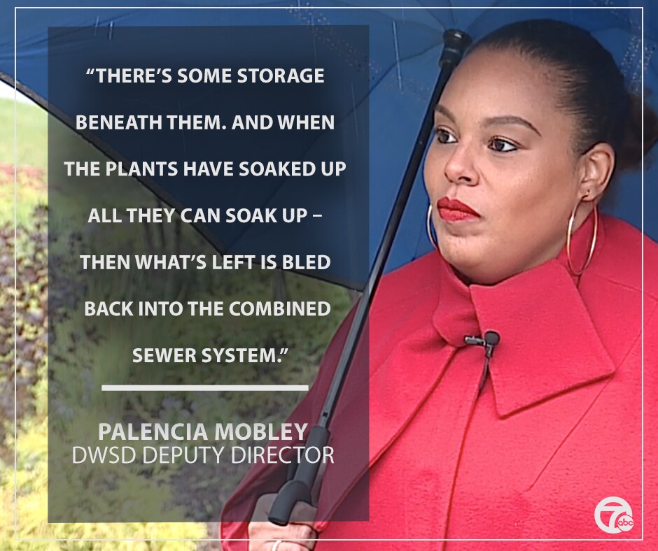 Palencia Mobley discussing the Oakman Boulevard green stormwater infrastructure project in a WXYZ report